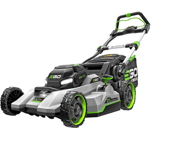 <?php echo $pick->name; ?>